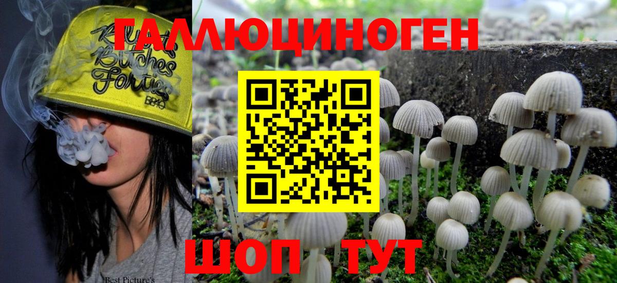Новозыбков  Галлюциногенные грибы Psilocybe  Галлюциногенные грибы Magic Shrooms  Вход с VPN 